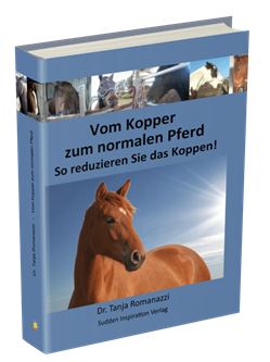 Vom Kopper zum normalen Pferd